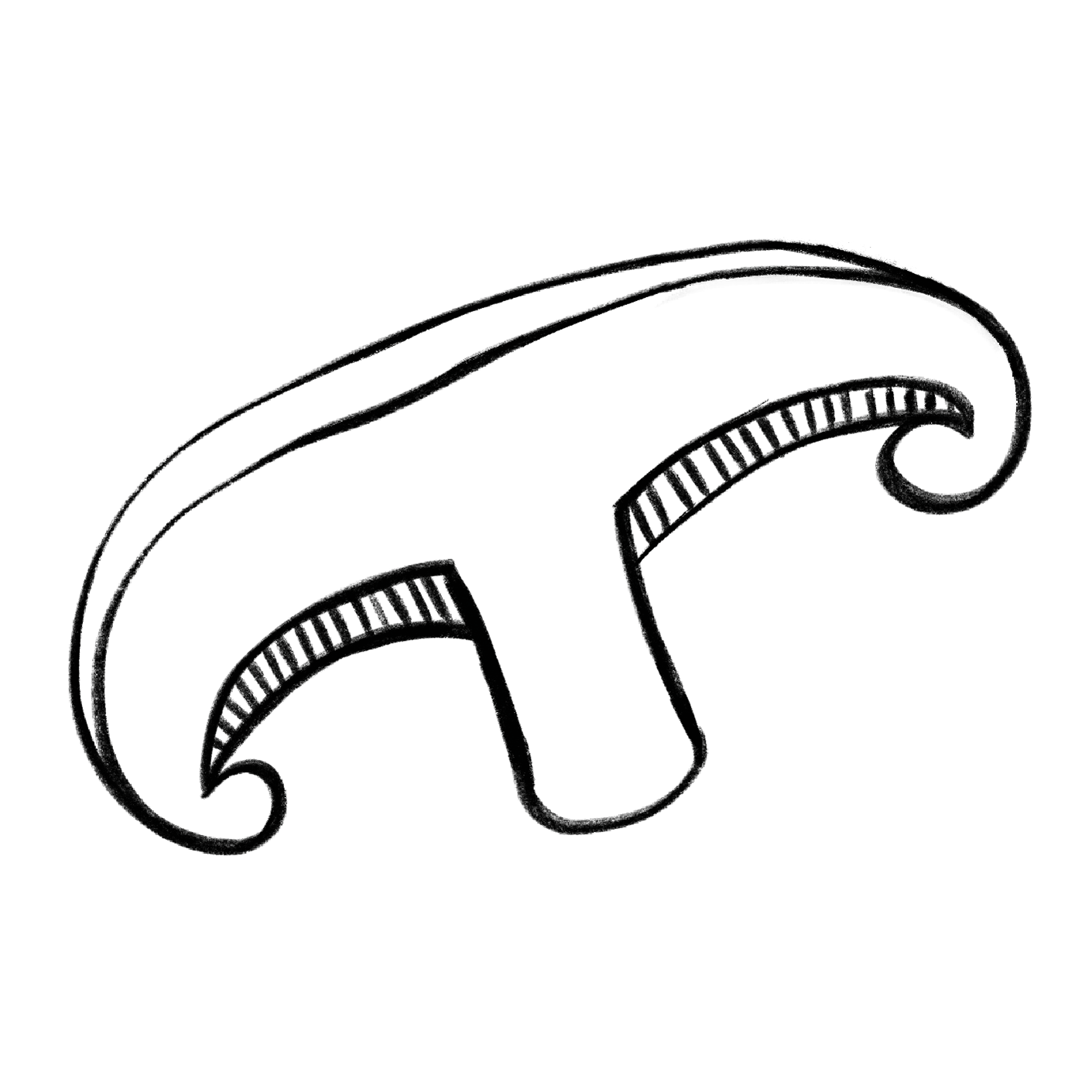 Illustration Outline Portobello von der Pilzzucht Mjko